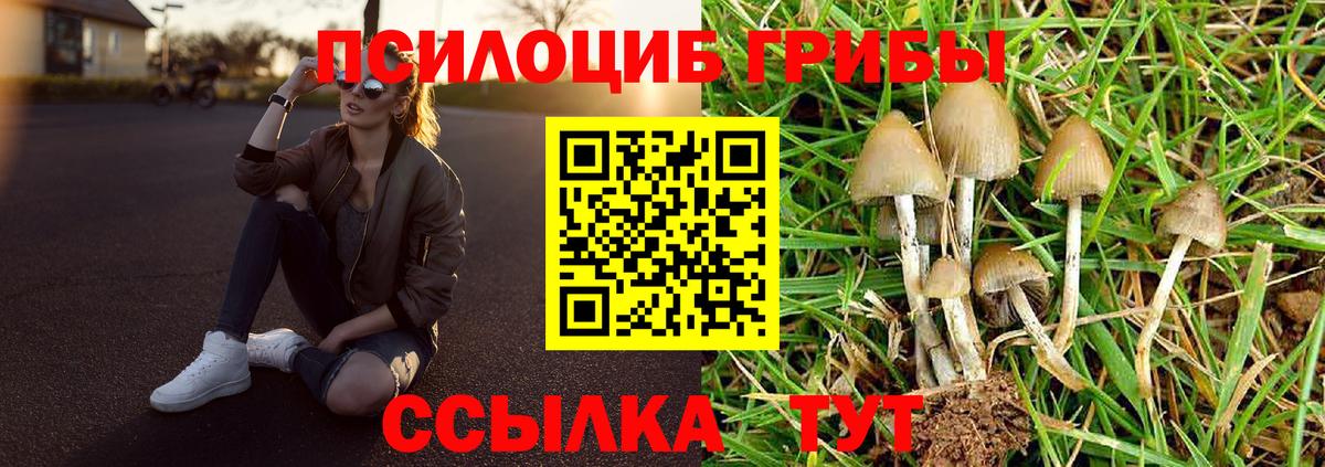 Галлюциногенные грибы мухоморы  Вход с VPN  Пушкино 